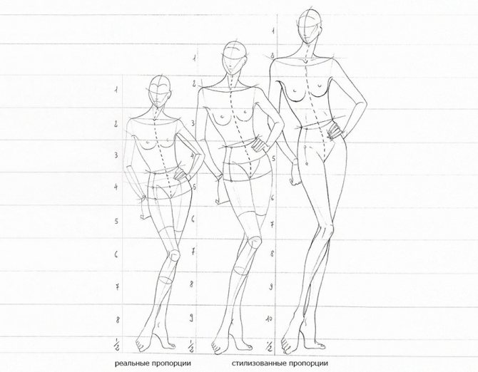 Stylisation des proportions du corps pour le croquis de mode