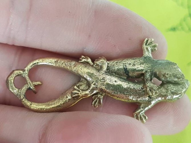 чар на гущер