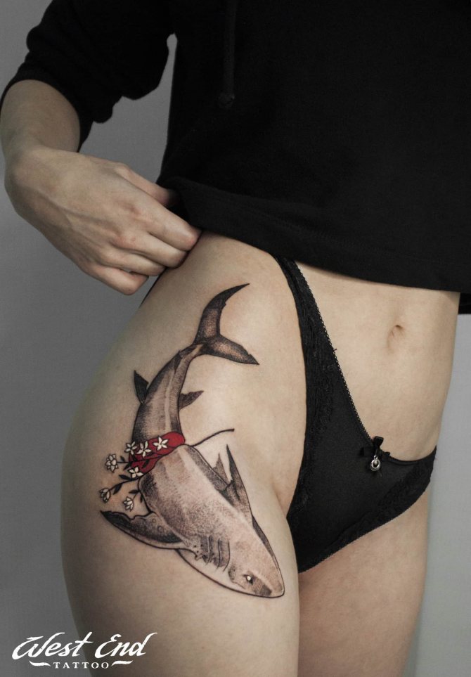 Tatouer un requin