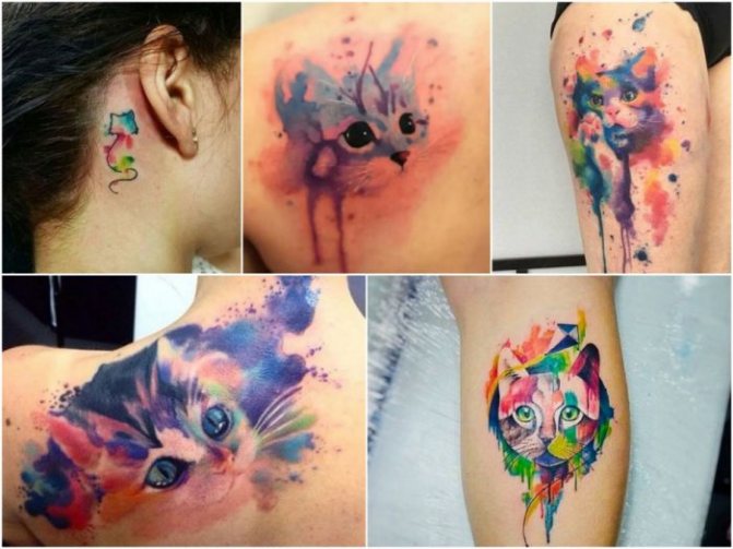 Tattoo Watercolor for Women - Animal Watercolor Tattoos - Watercolor Cats Tattoo