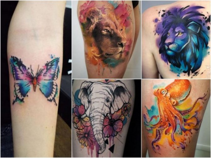 Tattoo Watercolor for Women - Watercolor Tattoo with Animals - Tattoo for Women with Animals