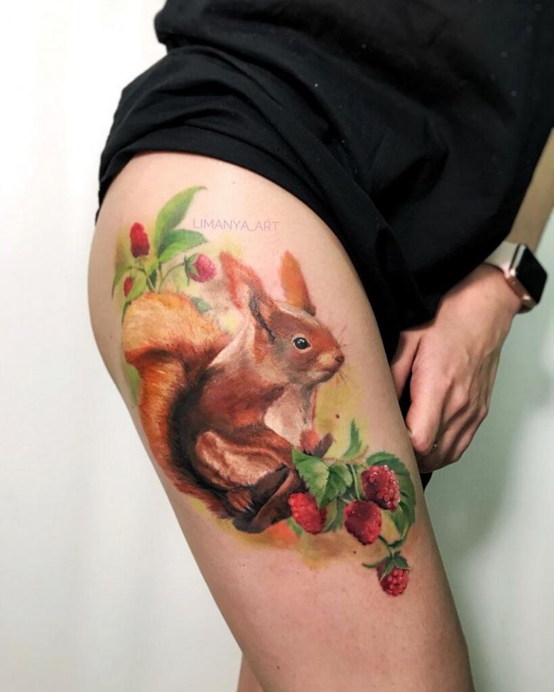 Tatouage écureuil - motifs pour filles et hommes (81 photos)