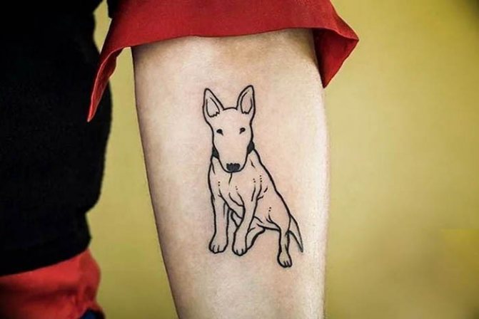 Tatouage bull terrier : croquis, signification, photos