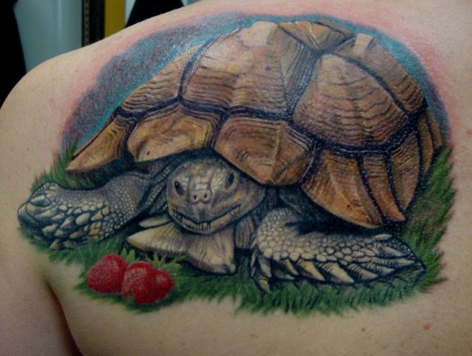 skildpadde tatovering