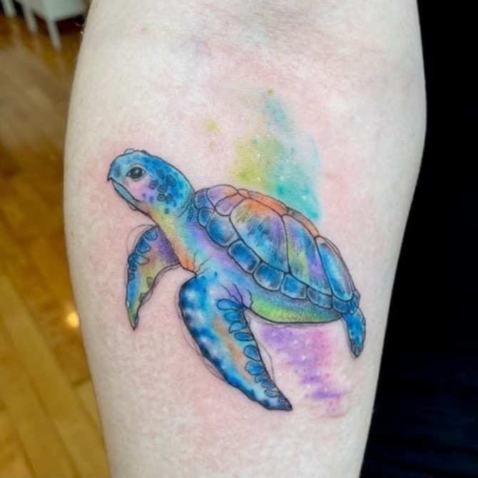 tatoveringsskildpadde