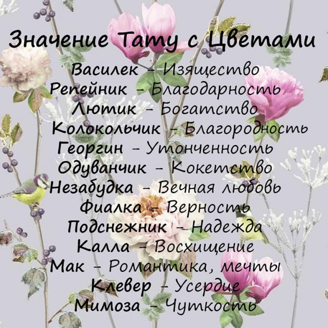 Couleurs de tatouage - Signification des fleurs de tatouage