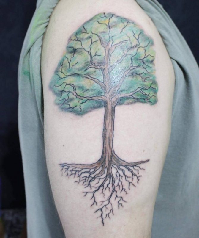 Arbre de tatouage à portée de main