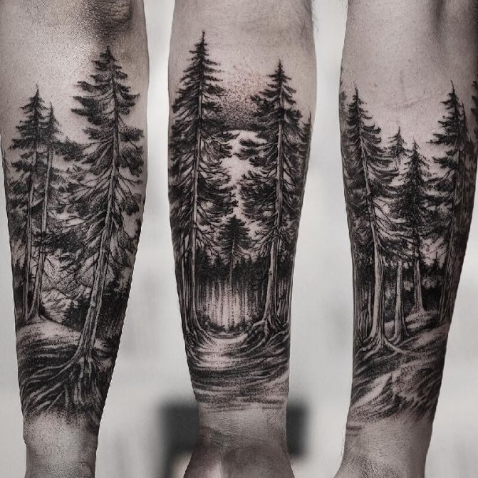 Arbre de Tatouage - Arbre de Tatouage - Arbre de Tatouage pour Hommes - Arbre de Tatouage pour Hommes