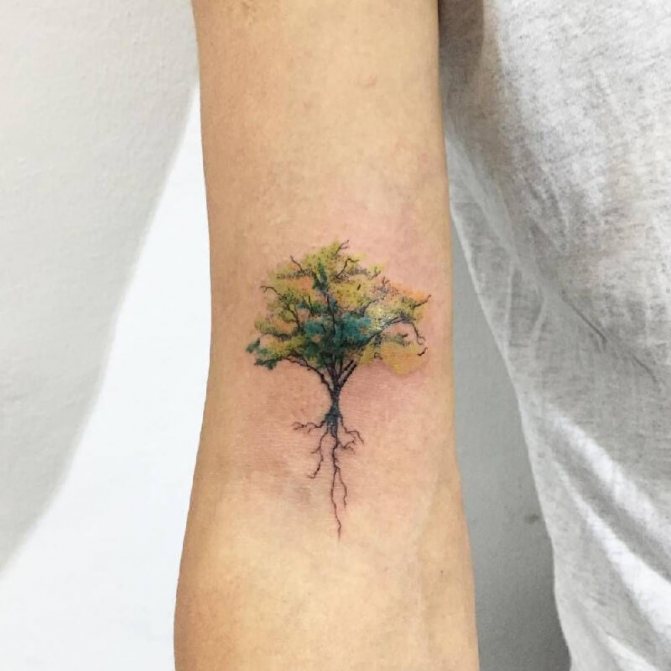 Tattoo Tree - Tattoo Tree - Tattoo Tree - Tattoo Tree signification