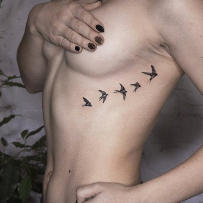 Tatouage pour filles hirondelles sous la poitrine