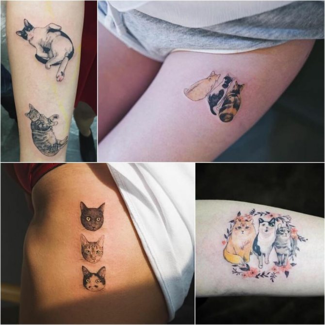 Tatouage pour filles - Tatouage de chat pour filles - Tatouage de chat pour femmes