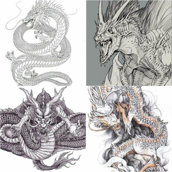 Tatouage de dragon - Tatouage de dragon - Croquis de tatouage de dragon - Idées de tatouage de dragon
