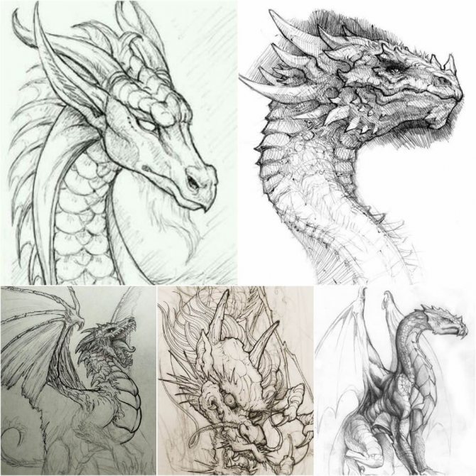 Tatouage de dragon - Tatouage de dragon - Croquis de tatouage de dragon - Idées de tatouage de dragon