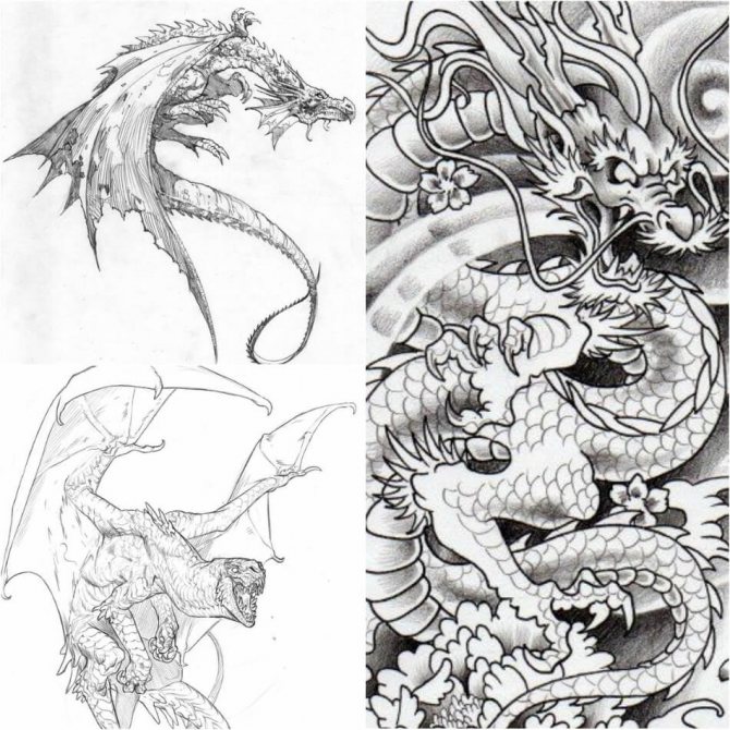 Tattoo Dragon - Tatouage de dragon - Croquis de tatouage de dragon - Idées de tatouage de dragon