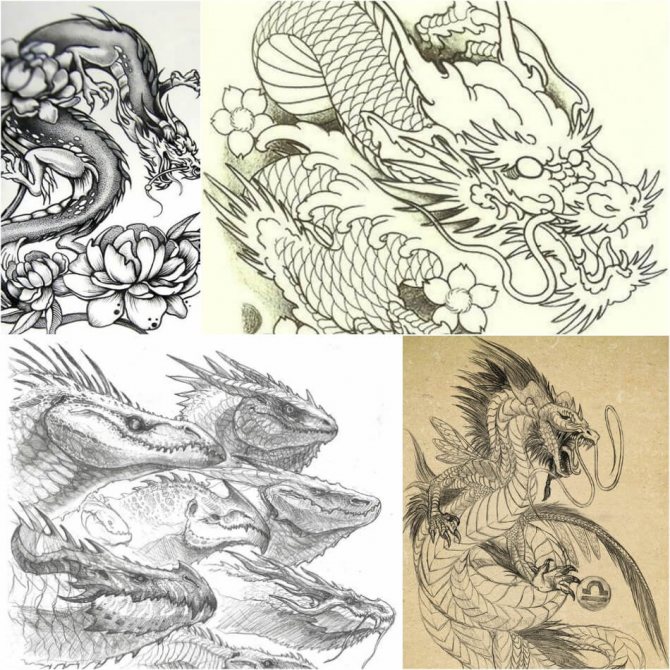 Tattoo Dragon - Tatouage de dragon - Croquis de tatouage de dragon - Idées de tatouage de dragon