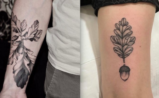 tattoo of the oak tree