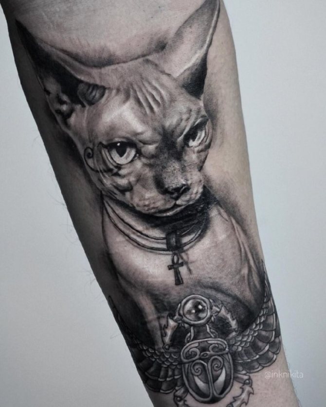 Tatouage de chat égyptien