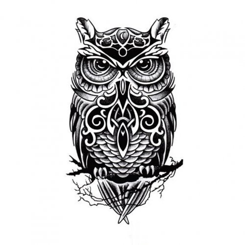 Tattoo male black and white, owl sketch