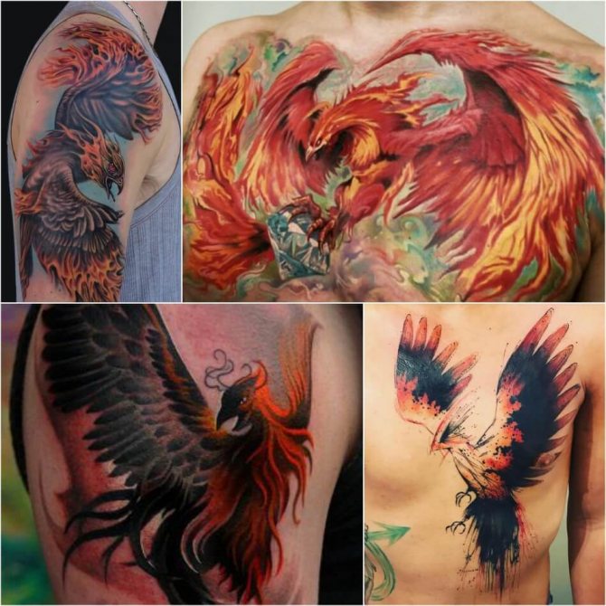 Tattoo Phoenix - Male Phoenix Tattoo - Phoenix Tattoo for Male