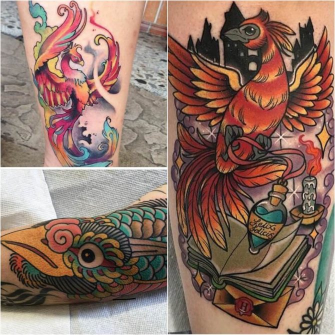 Tattoo Phoenix - Male Phoenix Tattoo - Tattoo of Phoenix for Male