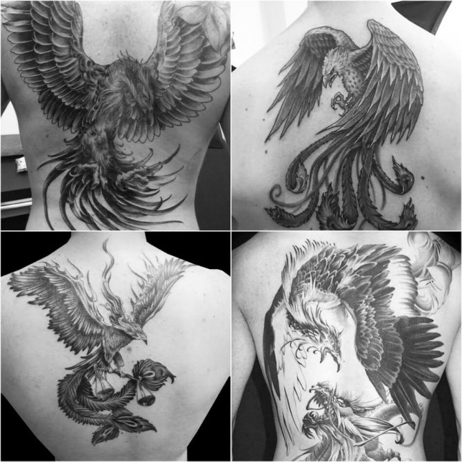 Tattoo Phoenix - Male Phoenix Tattoo - Tattoo of Phoenix for Male