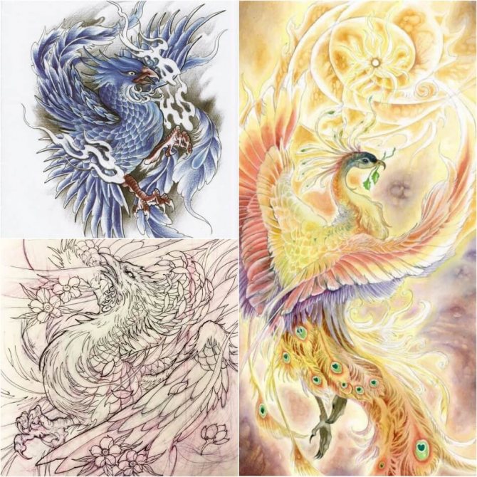 Tattoo Phoenix - Tattoo Phoenix Sketches - Phoenix Tattoo Sketches
