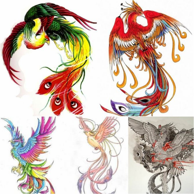Tattoo Phoenix - Tattoo Phoenix Sketches - Phoenix Tattoo Sketches