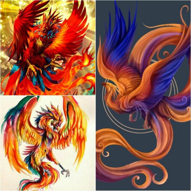 Tattoo Phoenix - Tattoo Phoenix Sketches - Phoenix Tattoo Sketches