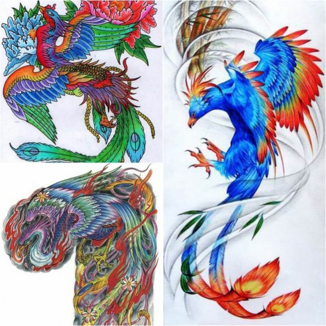 Tattoo Phoenix - Tattoo Phoenix Sketches - Phoenix Tattoo Sketches