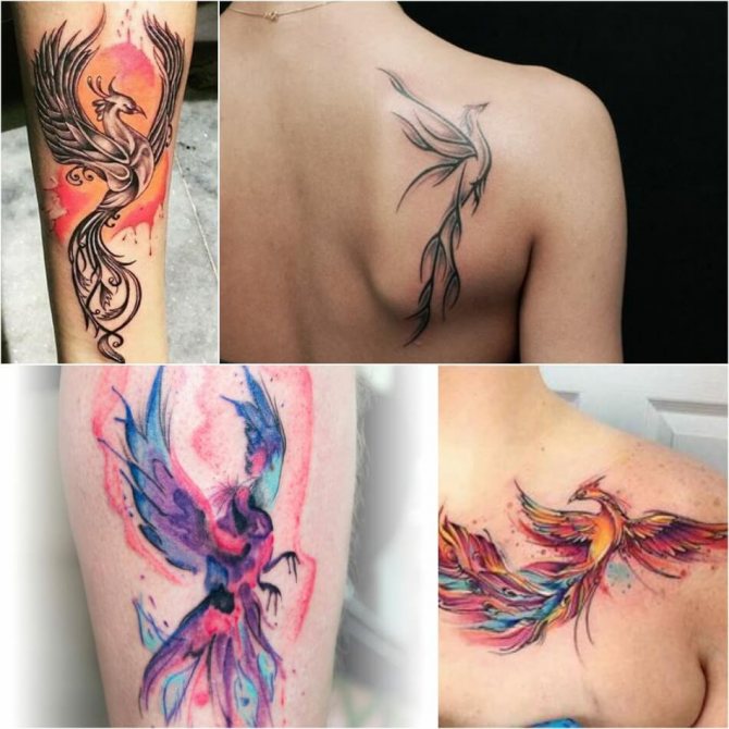Tattoo Phoenix - Tattoo Phoenix on his scapula - Phoenix tattoo on his shoulder blade