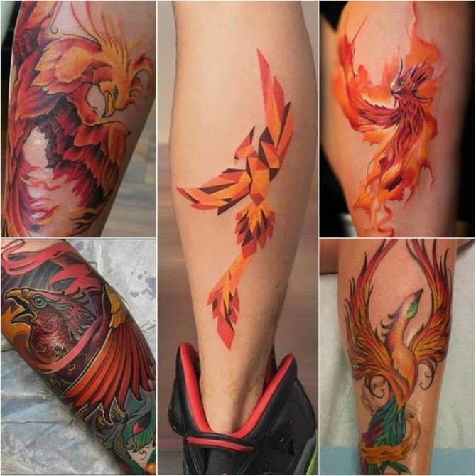 Tattoo Phoenix - Tattoo Phoenix on Leg - Tattoo of phoenix on leg