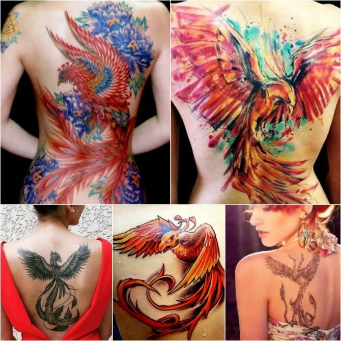 Tattoo Phoenix - Tattoo Phoenix on Back - Tattoo Phoenix on Back