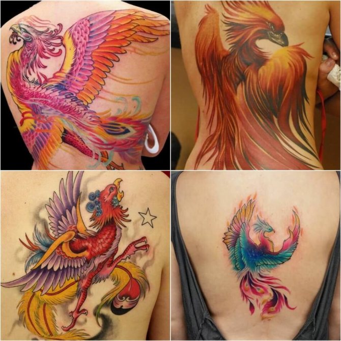 Tattoo Phoenix - Tattoo Phoenix on Back - Phoenix tattoo on back