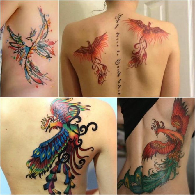 Tattoo Phoenix - Female Phoenix Tattoo - Tattoo of Phoenix for Girls