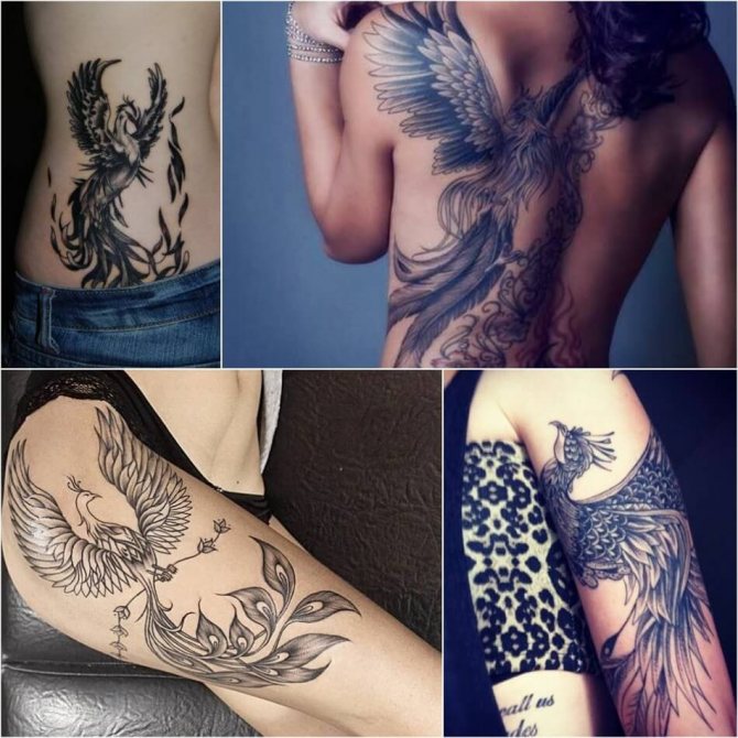 Tattoo Phoenix - Women Phoenix Tattoos - Phoenix Tattoos for Girls