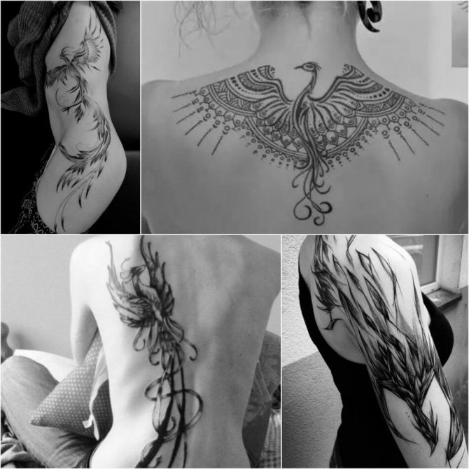 Tattoo Phoenix - Female Phoenix Tattoo - Tattoo of Phoenix for Girls