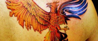 tatuaje de fénix