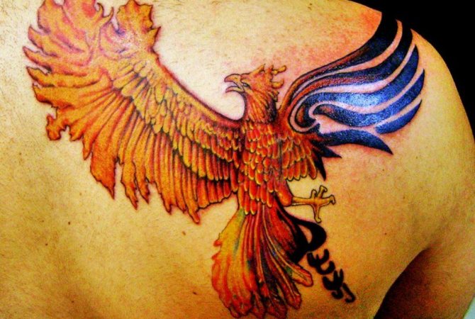 phoenix tattoo