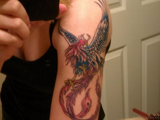 phoenix tattoo