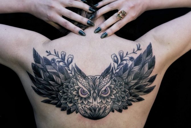 tatouage aigle hibou