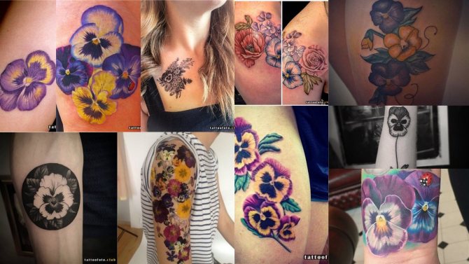 πανσέδες φωτογραφία τατουάζ