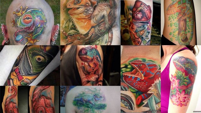 Photo de tatouage avec caméléon