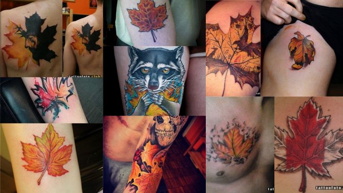 Tattoo photo with a maple