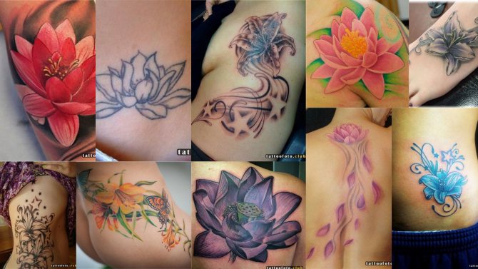 Photo de tatouage avec nénuphar