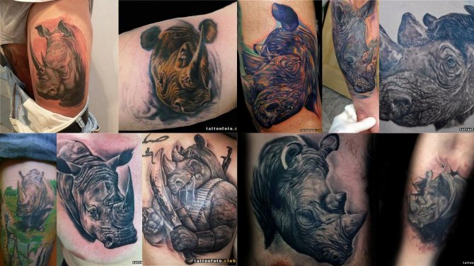 Photo d'un tatouage de rhinocéros