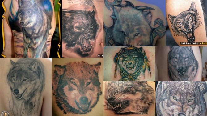obrázky tetování wolf grin