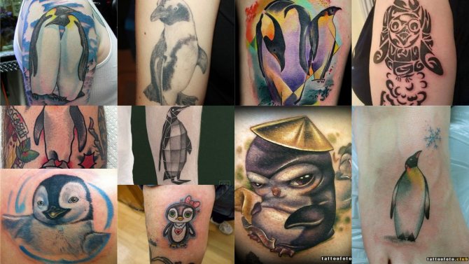 foto del tatuaje de un pingüino