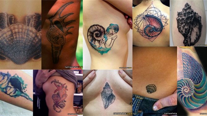 tattoo photo with a seashell