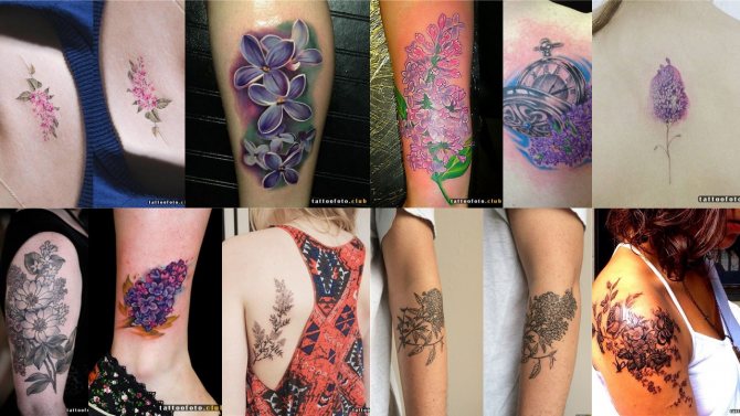 photo de tatouage lilas