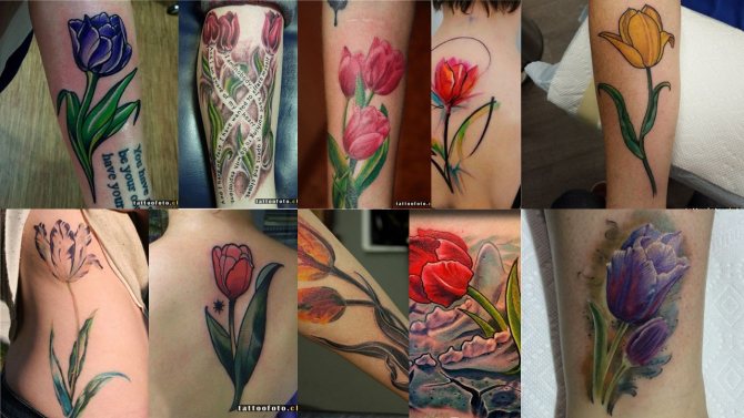 photo de tatouage avec tulipe